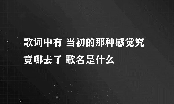 歌词中有 当初的那种感觉究竟哪去了 歌名是什么