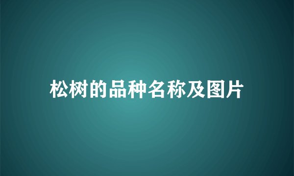 松树的品种名称及图片