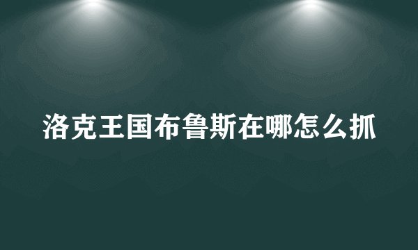 洛克王国布鲁斯在哪怎么抓