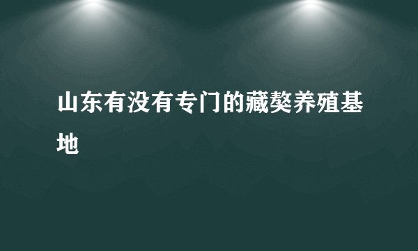 山东有没有专门的藏獒养殖基地