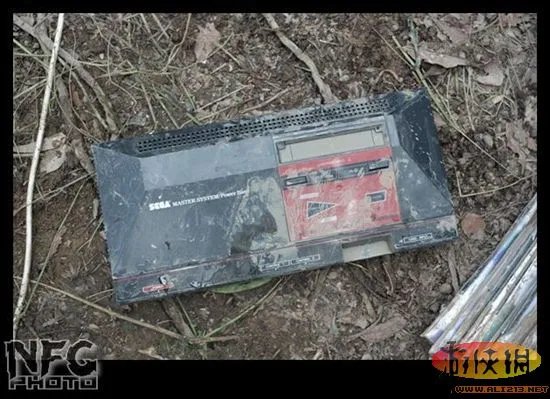 百年洪水来袭 澳洲玩家藏品惨遭洪水蹂躏(图)