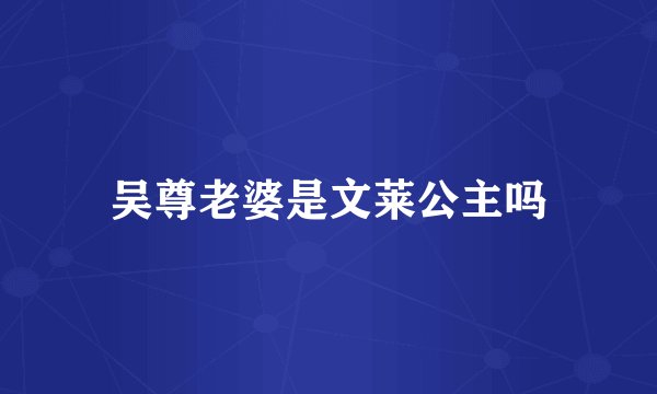 吴尊老婆是文莱公主吗