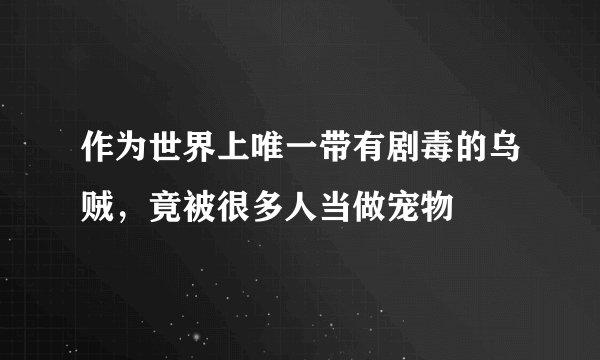作为世界上唯一带有剧毒的乌贼，竟被很多人当做宠物