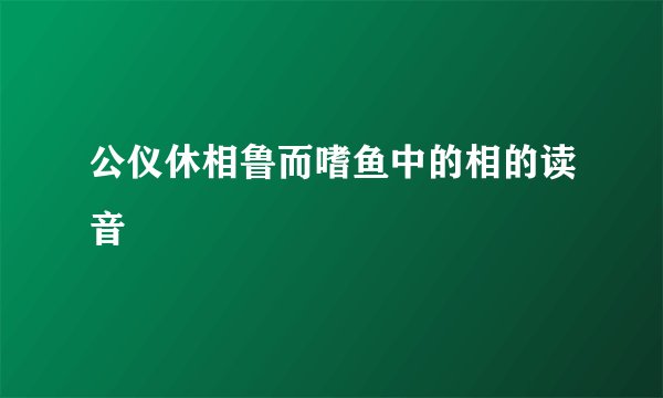 公仪休相鲁而嗜鱼中的相的读音