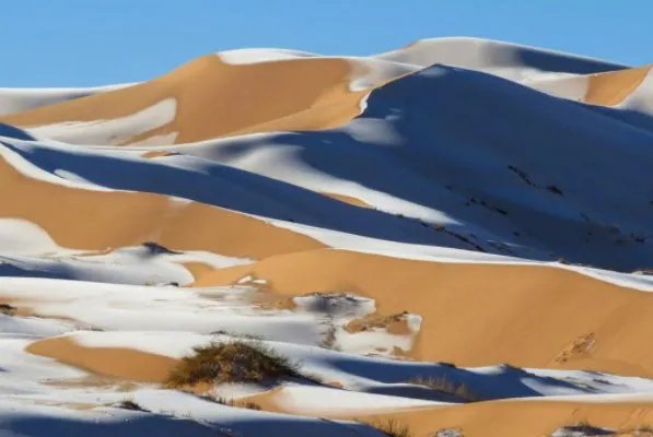 骆驼在撒哈拉沙漠雪中漫步,此次降雪给沙漠带来了哪些好处?