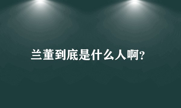 兰董到底是什么人啊?