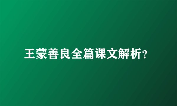 王蒙善良全篇课文解析？