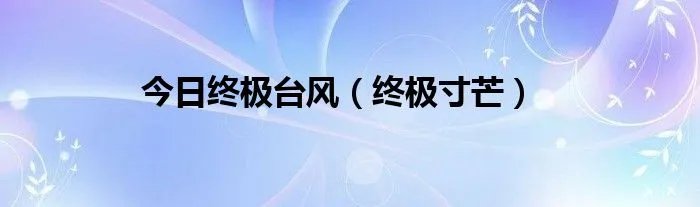 今日终极台风（终极寸芒）
