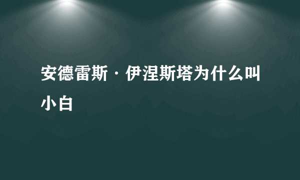 安德雷斯·伊涅斯塔为什么叫小白