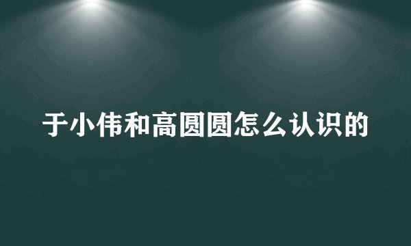 于小伟和高圆圆怎么认识的