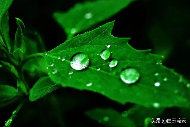 阴雨天如何拍出好照片？