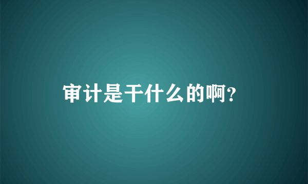 审计是干什么的啊？