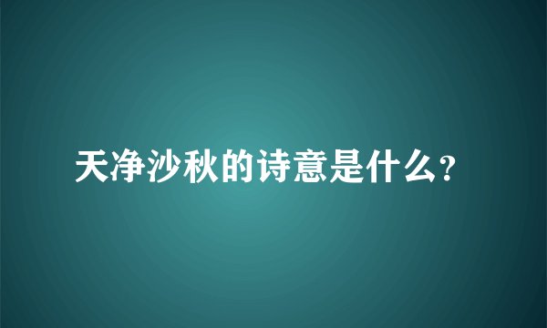 天净沙秋的诗意是什么？