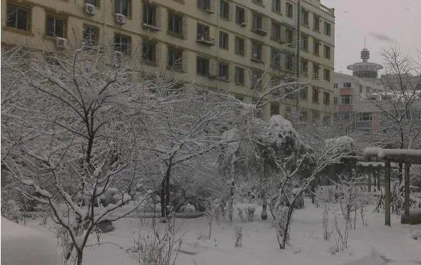 什么是家的味道?