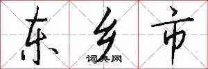 东乡市