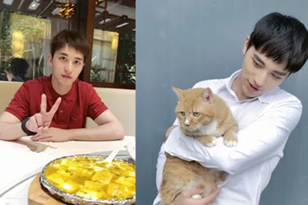 许魏洲护膝里有针 粉丝要求节目组道歉