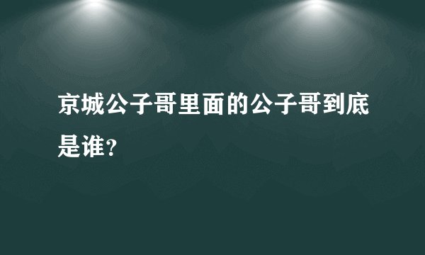 京城公子哥里面的公子哥到底是谁？