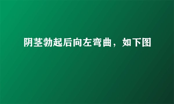 阴茎勃起后向左弯曲，如下图