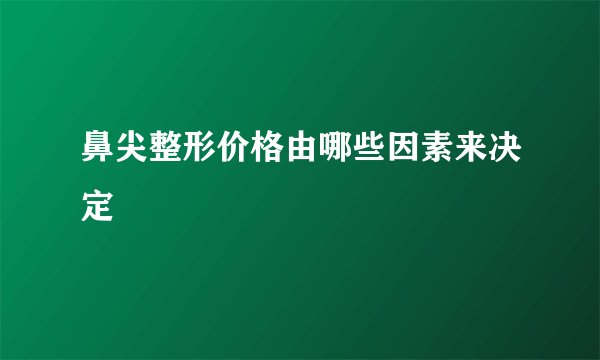 鼻尖整形价格由哪些因素来决定