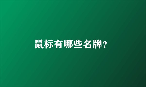 鼠标有哪些名牌？