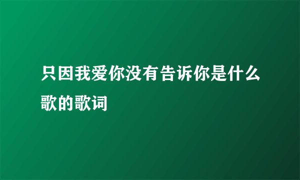 只因我爱你没有告诉你是什么歌的歌词