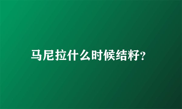 马尼拉什么时候结籽？
