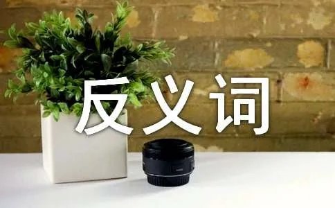 失利的反义词