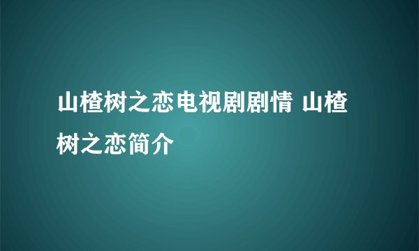山楂树之恋电视剧剧情 山楂树之恋简介