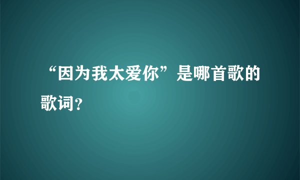 “因为我太爱你”是哪首歌的歌词？