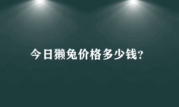 今日獭兔价格多少钱？