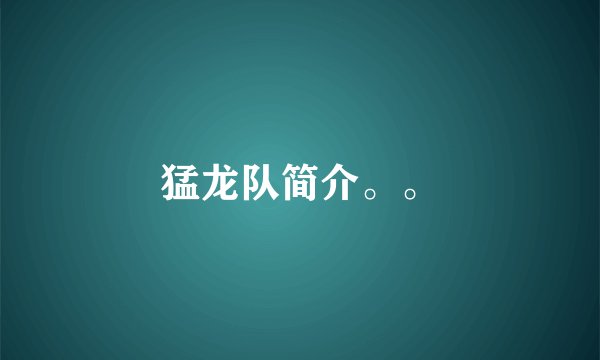 猛龙队简介。。