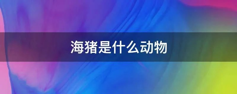 海猪是什么动物