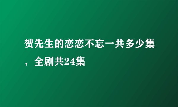贺先生的恋恋不忘一共多少集，全剧共24集
