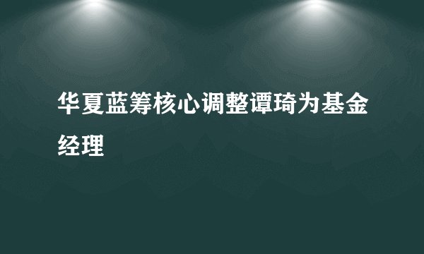 华夏蓝筹核心调整谭琦为基金经理