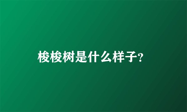 梭梭树是什么样子？