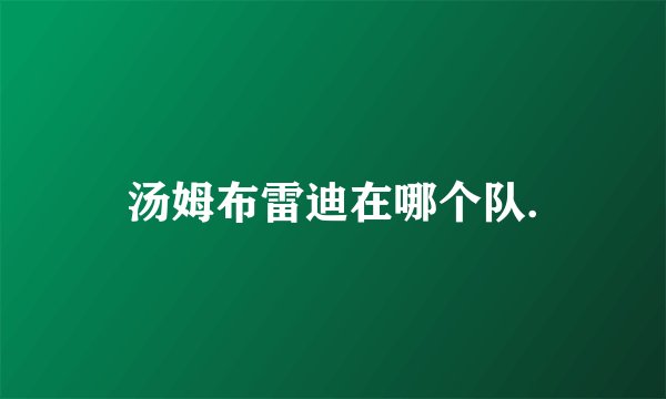 汤姆布雷迪在哪个队.