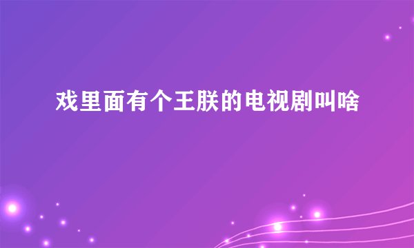 戏里面有个王朕的电视剧叫啥