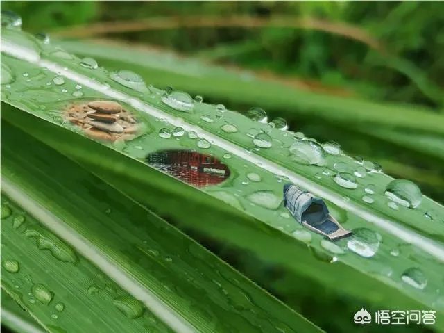 阴雨天如何拍出好照片？