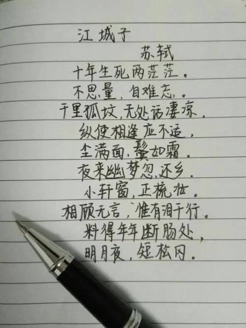 十年生死两茫茫 不思量自难忘的意思是什么?