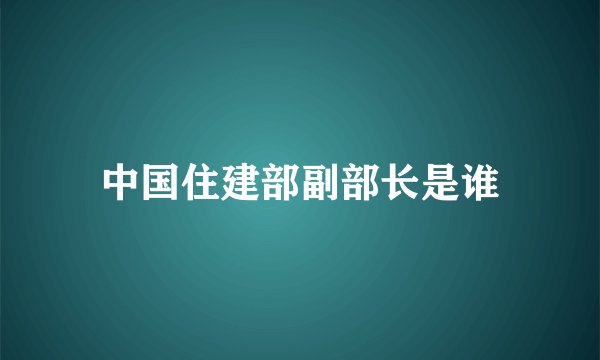中国住建部副部长是谁
