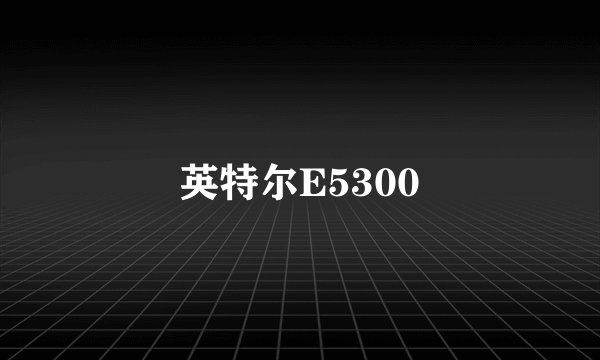 英特尔E5300