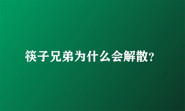 筷子兄弟为什么会解散？