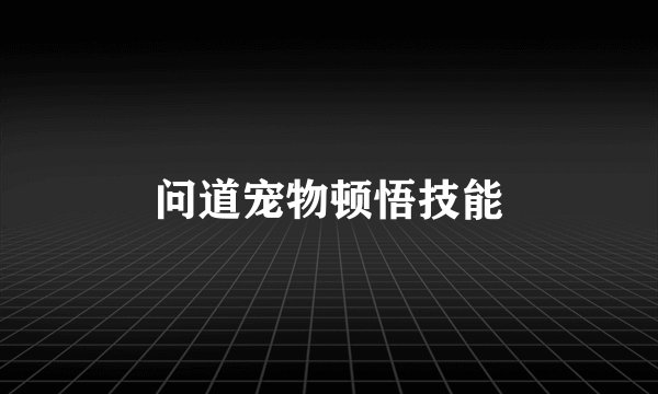 问道宠物顿悟技能