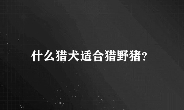 什么猎犬适合猎野猪？