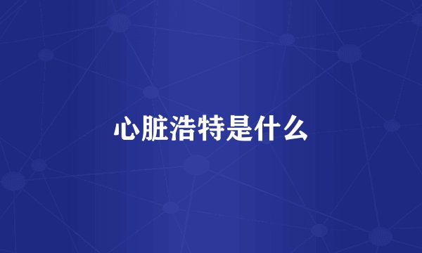 心脏浩特是什么