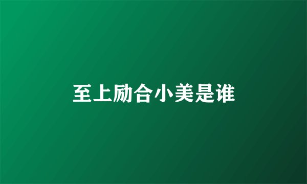 至上励合小美是谁