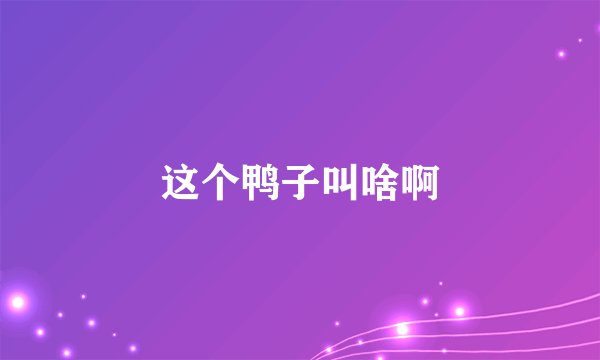 这个鸭子叫啥啊