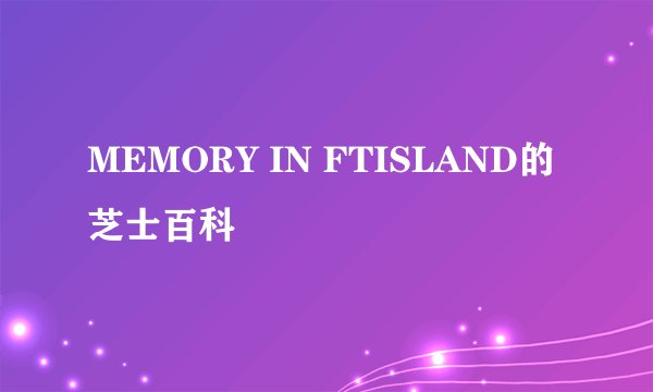 MEMORY IN FTISLAND的芝士百科