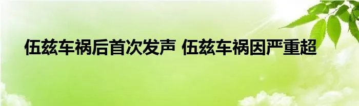 伍兹车祸后首次发声 伍兹车祸因严重超