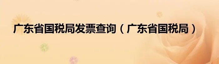 广东省国税局发票查询（广东省国税局）